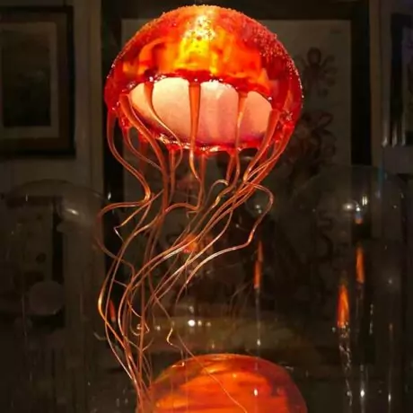 Vase de 2 méduses colorées