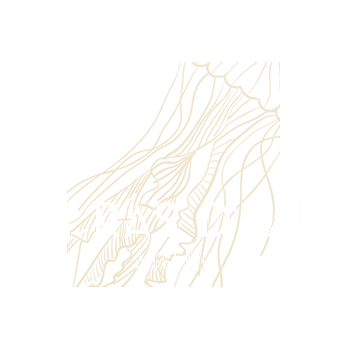 Logo Le Ras D'Eau